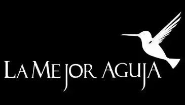 La Mejor Aguja